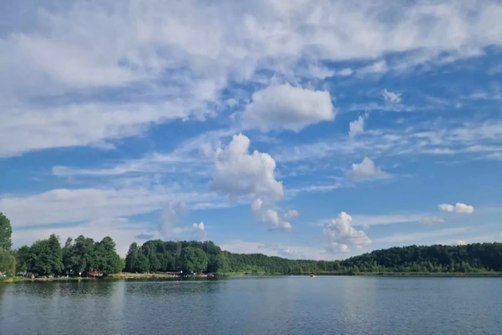 Wildgans Classic 246-Gebieden zomer 1km