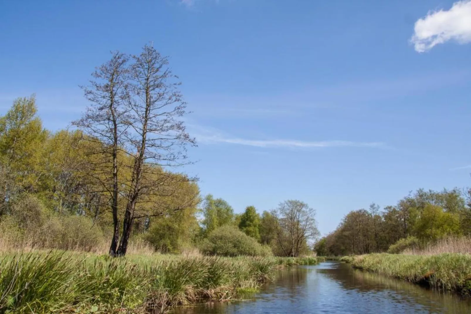 Docklodge 18-Gebieden zomer 20km