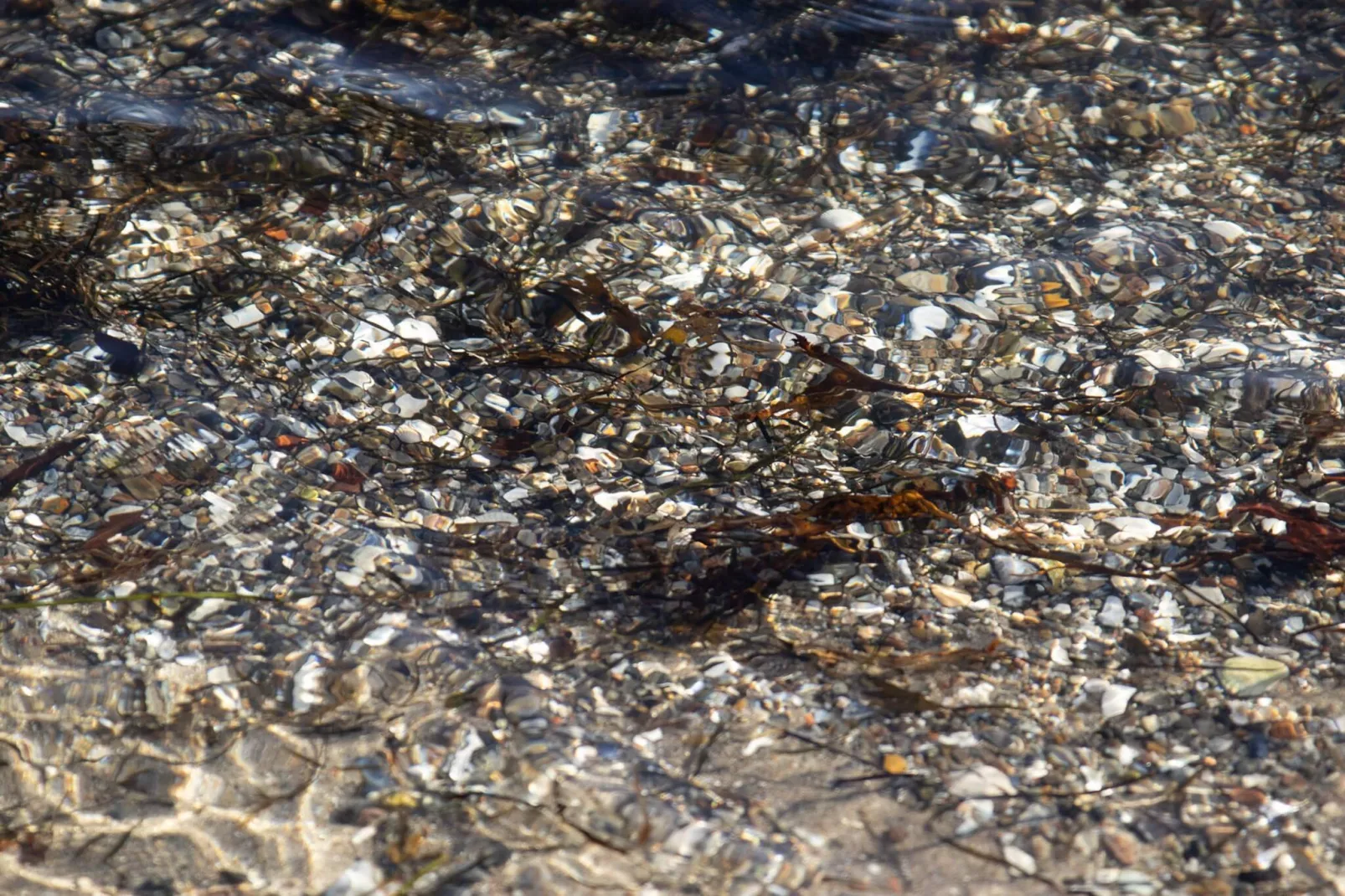 Kustcharme in Binderup-By Traum