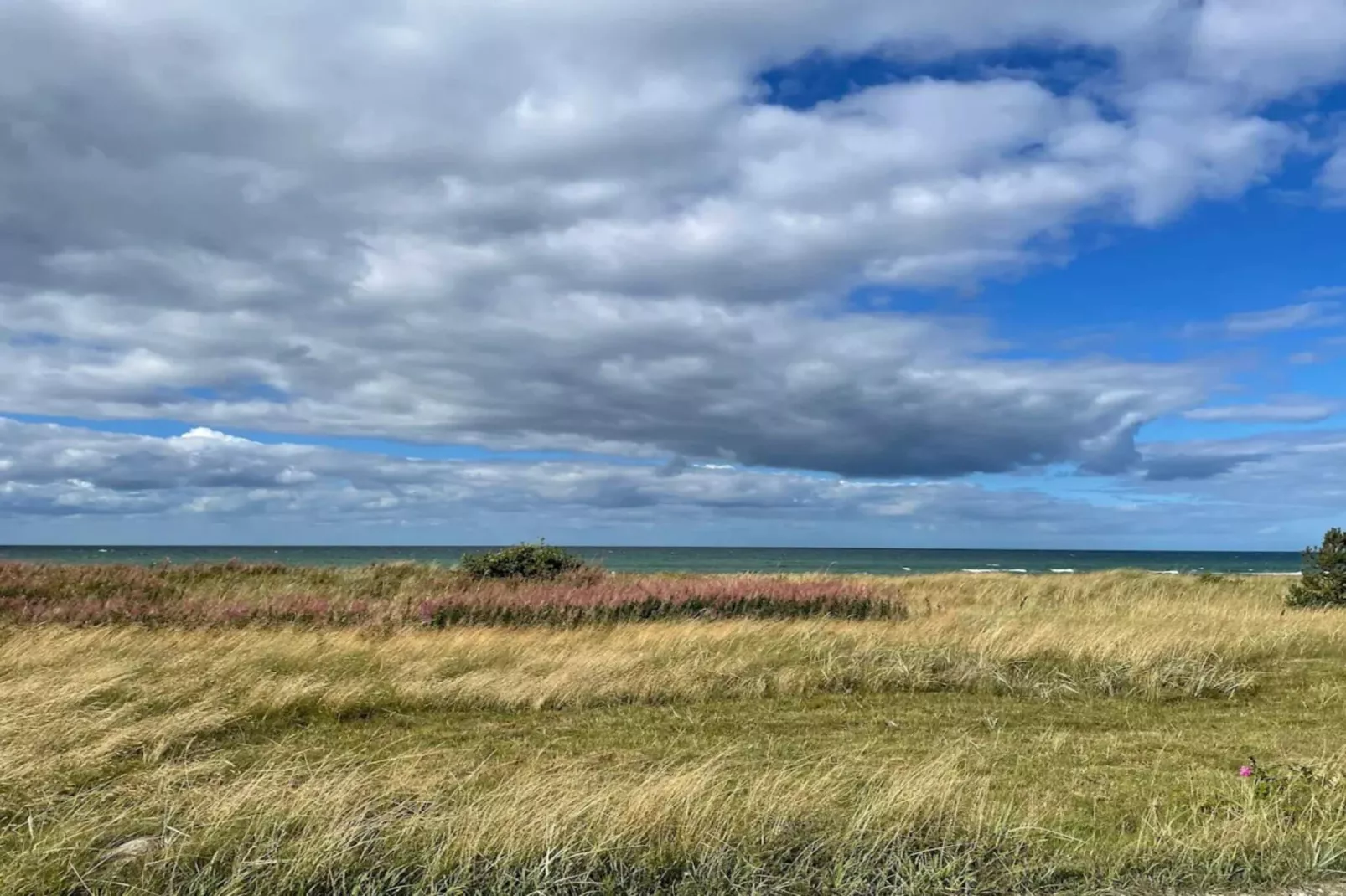 16 persoons vakantie huis in Glesborg