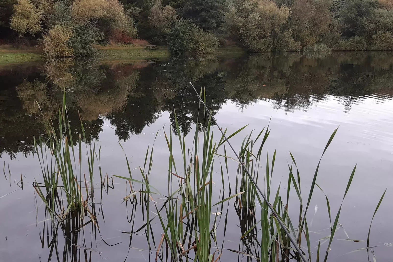 6 persoons vakantie huis in Ringkøbing-Waterzicht