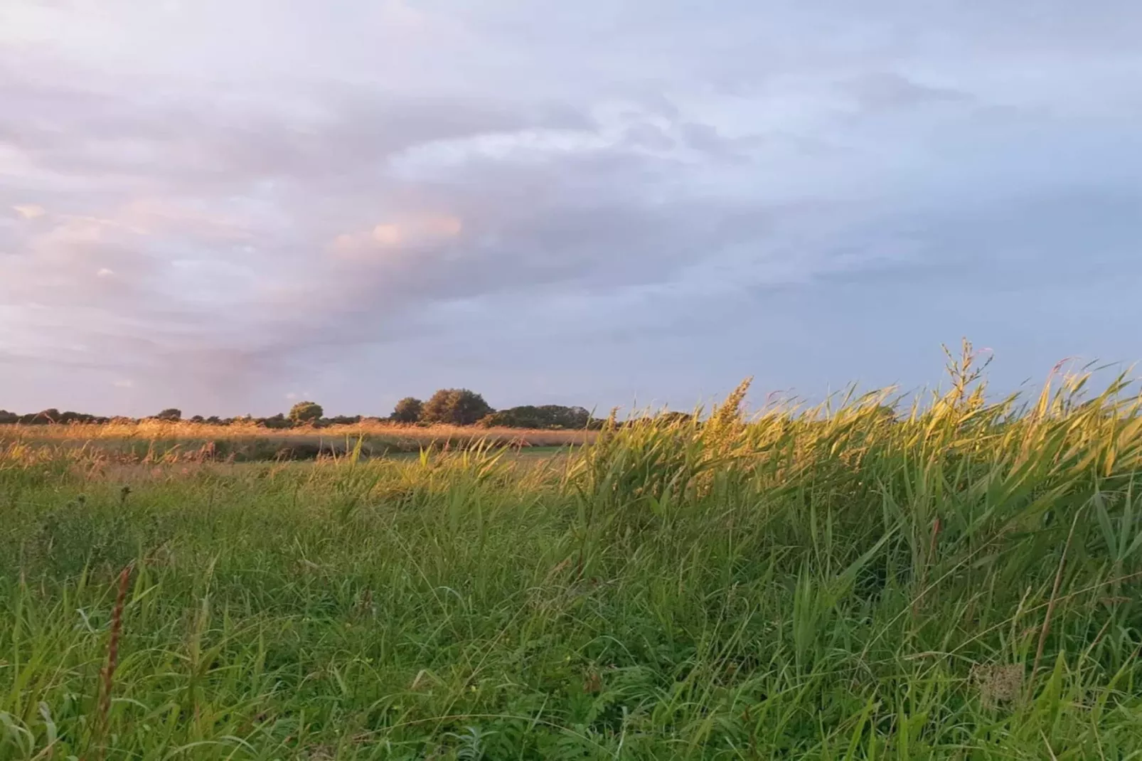 8 persoons vakantie huis in Sydals-Niet-getagd