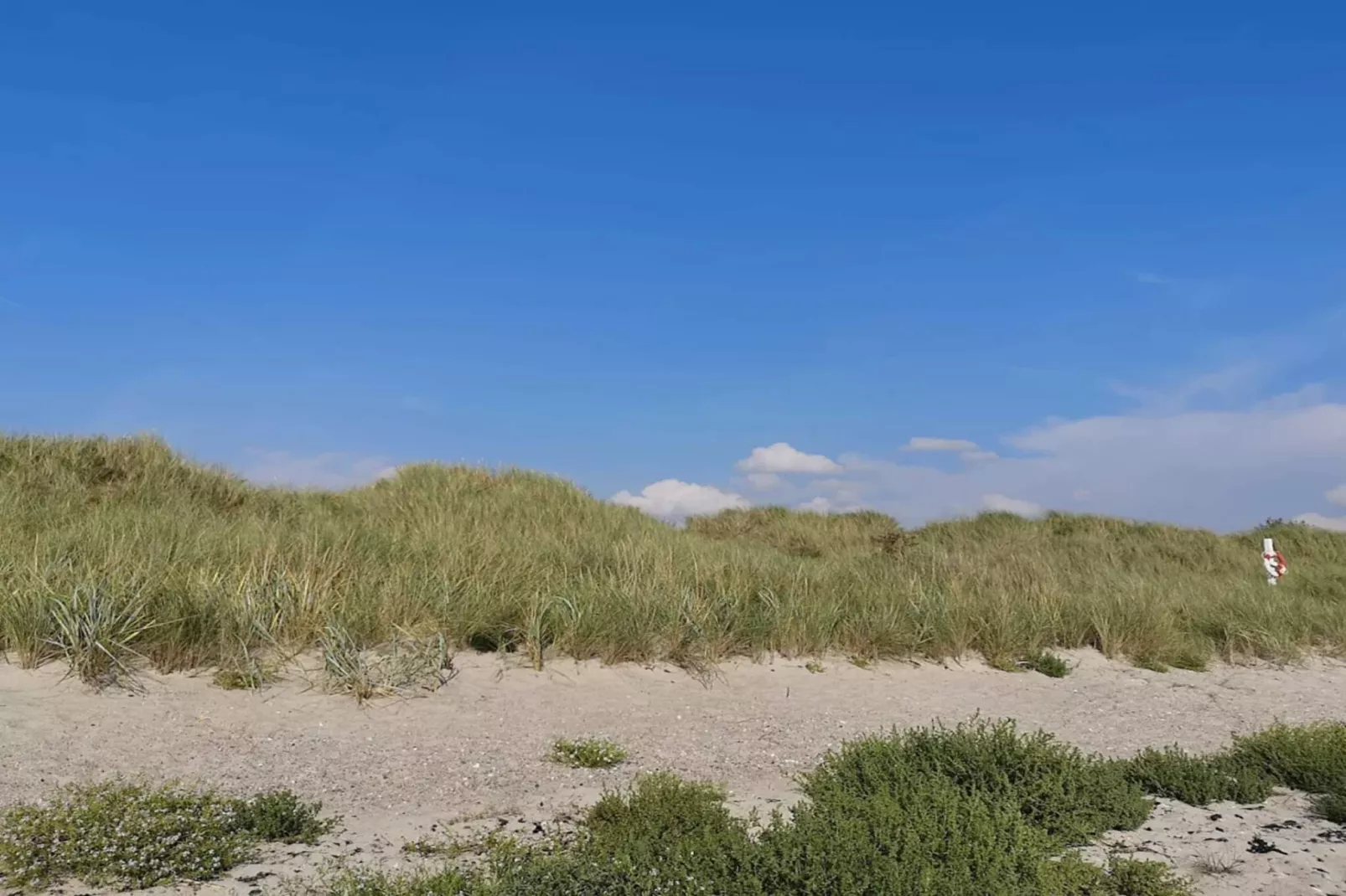 9 persoons vakantie huis in Dannemare-Niet-getagd