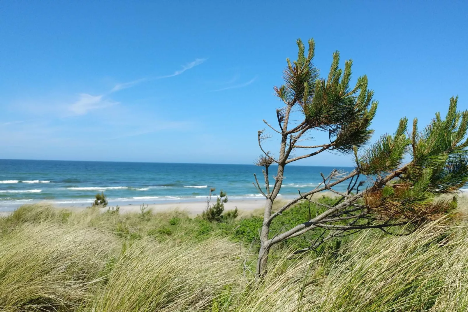 Gezellig toevluchtsoord in Rorvig Haven-By Traum
