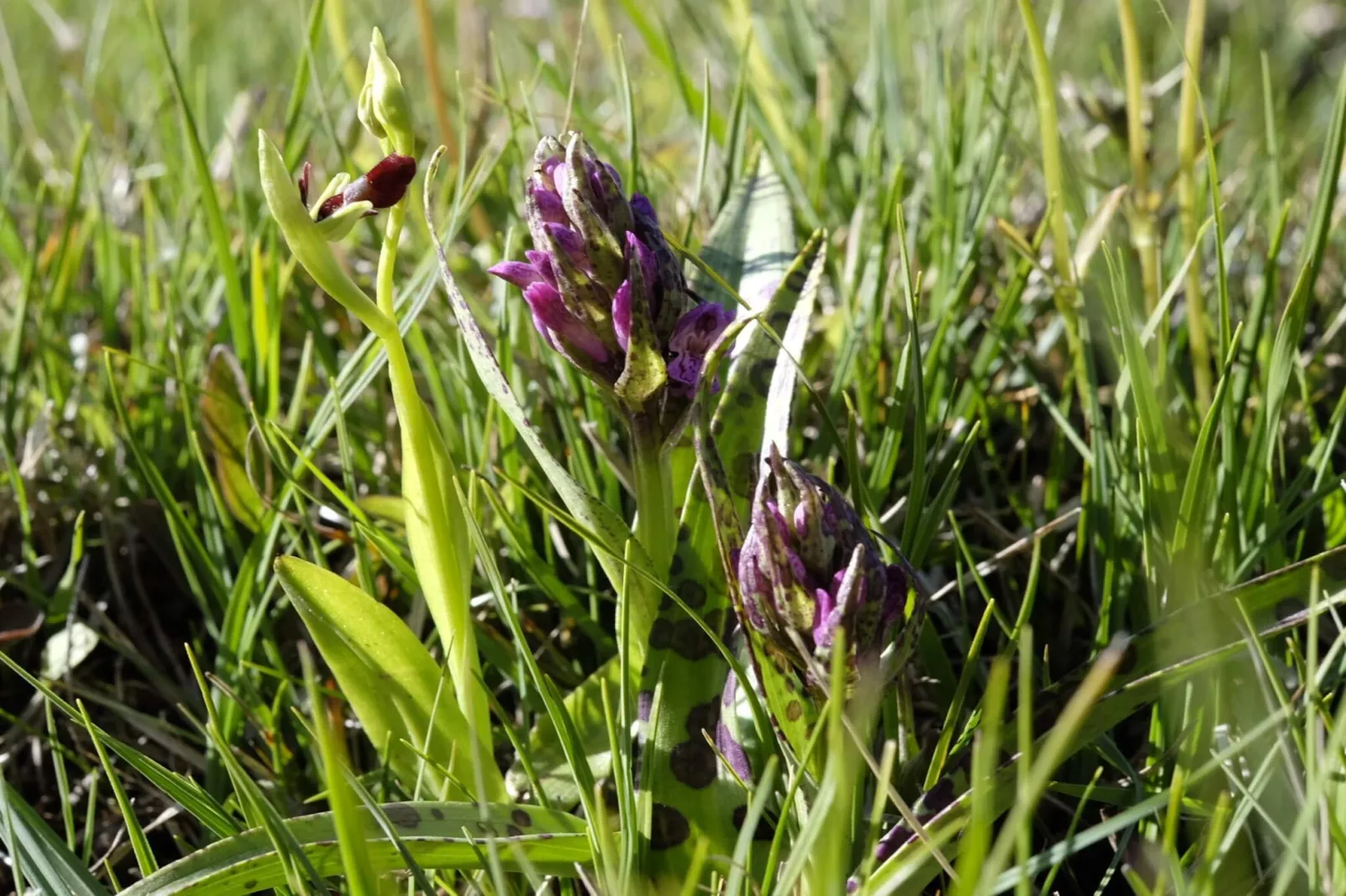 10 persoons vakantie huis in FÄRJESTADEN-Niet-getagd