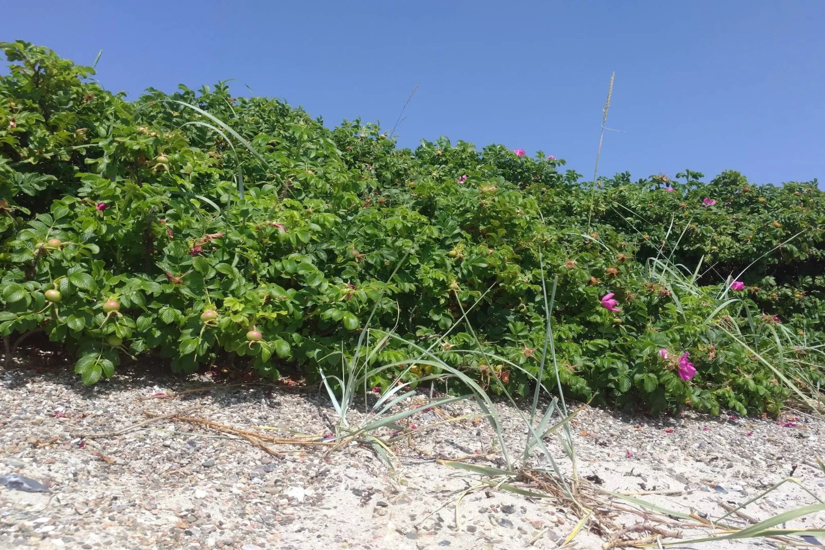 4 persoons vakantie huis in Haderslev