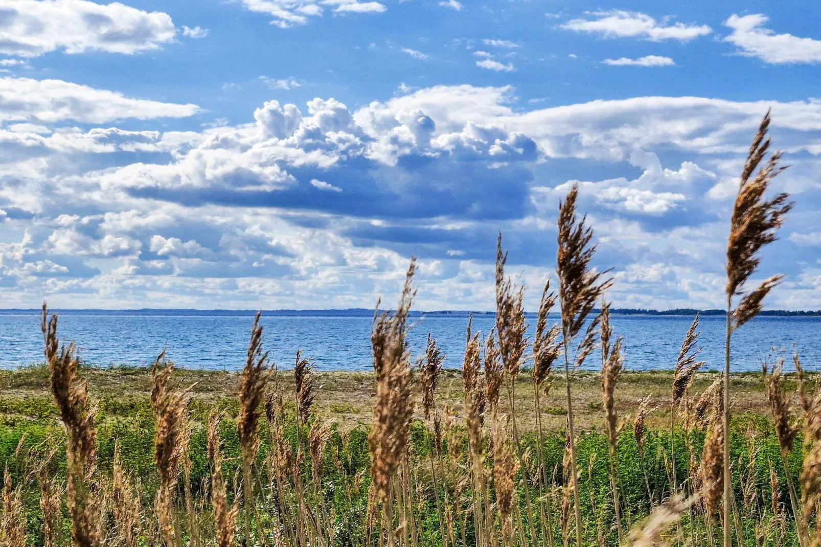 4 persoons vakantie huis in Assens