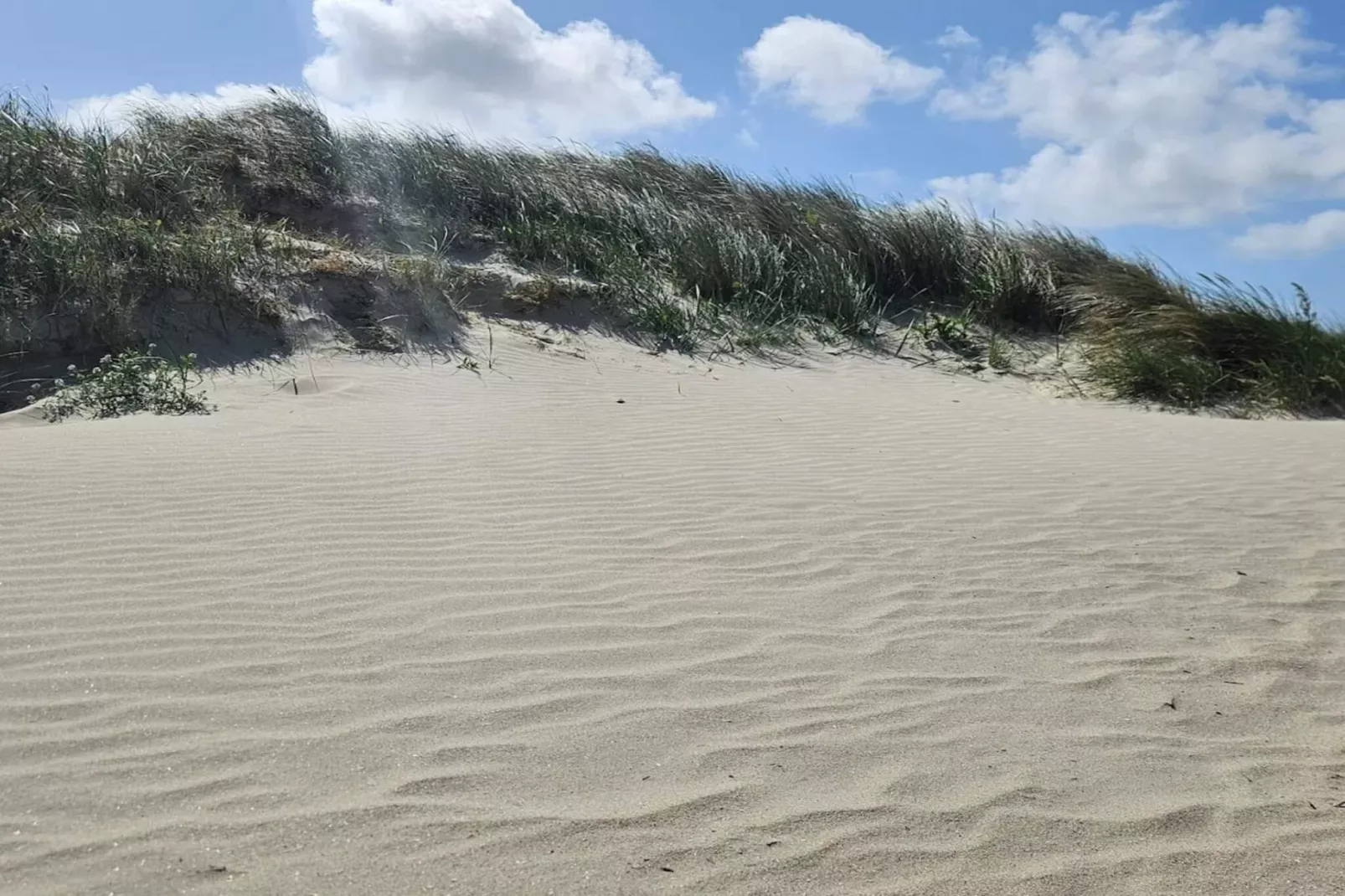 5 persoons vakantie huis in Fanø