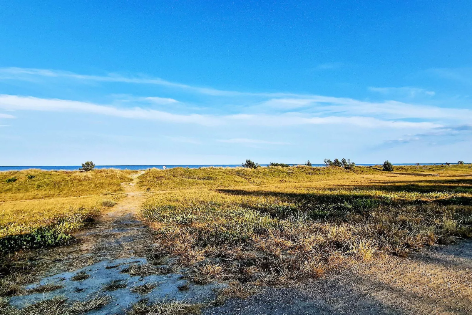 8 persoons vakantie huis in Væggerløse