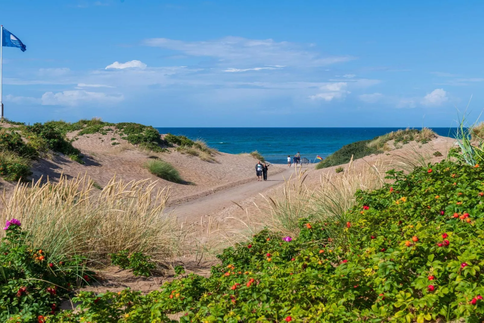 24 persoons vakantie huis in Frederiksværk
