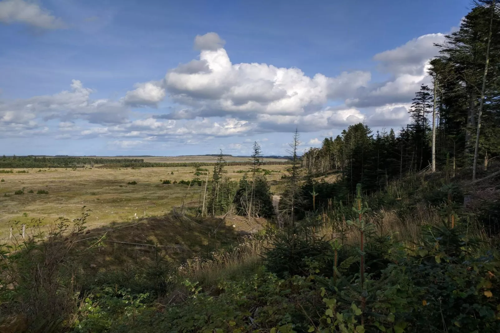 10 persoons vakantie huis in Thisted-Niet-getagd