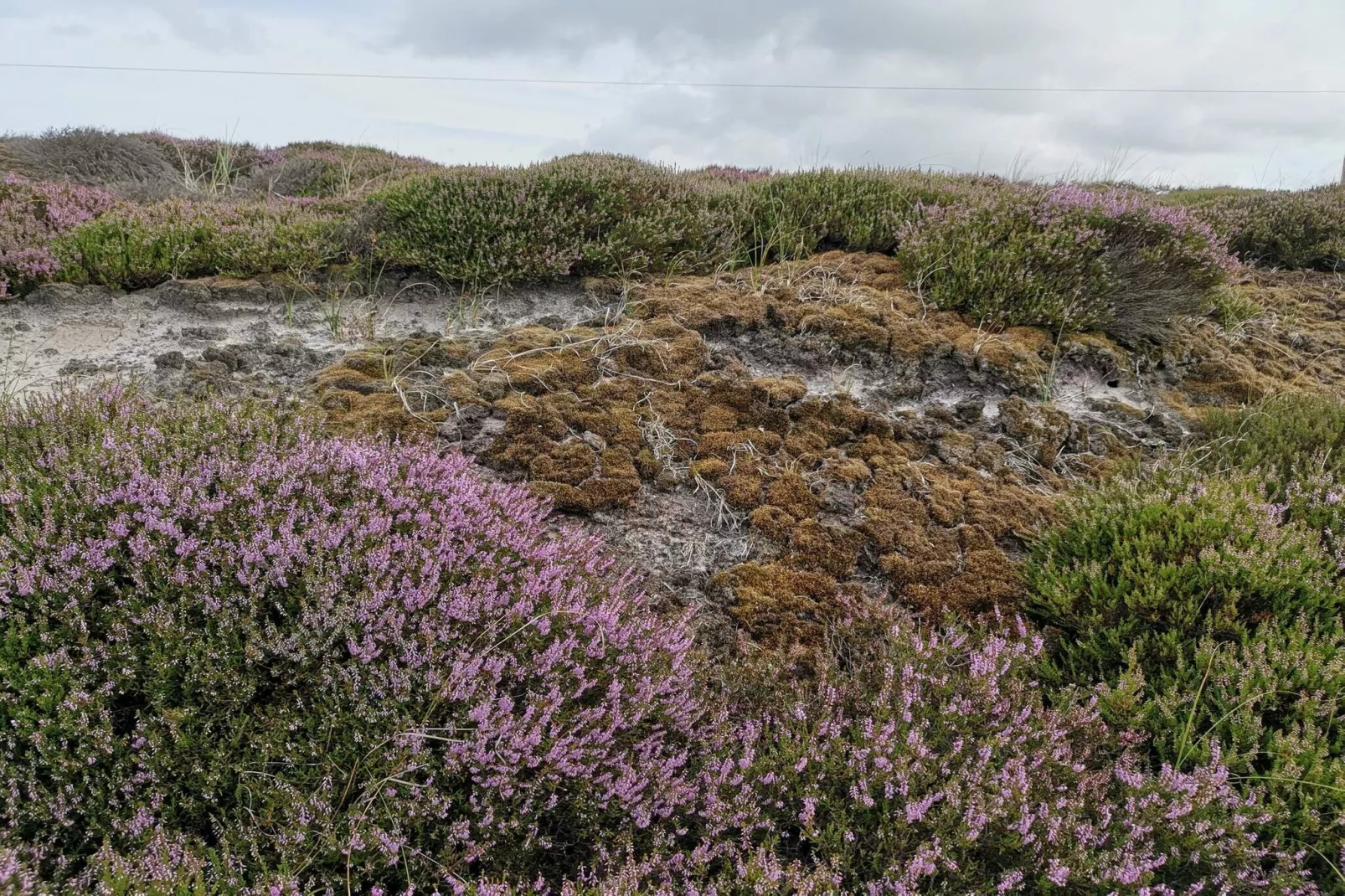 4 persoons vakantie huis in Nørre Nebel-Niet-getagd
