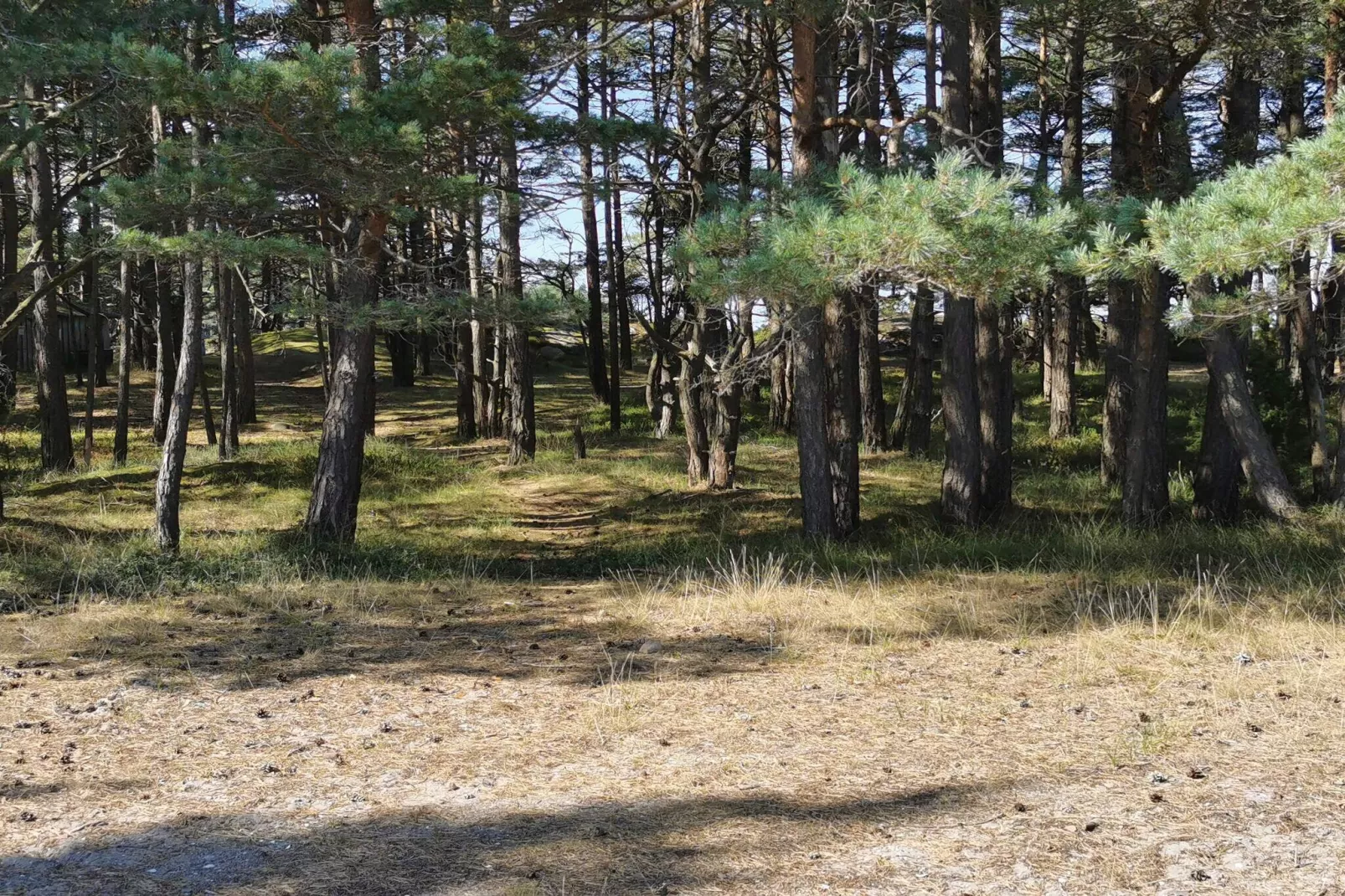 Kustcharme in Flaton Toevluchtsoord-By Traum-Niet-getagd