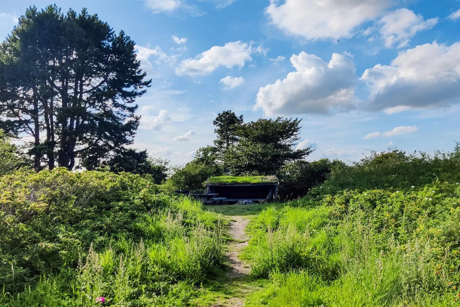Kusttoevlucht in Faxe Ladeplads-By Traum
