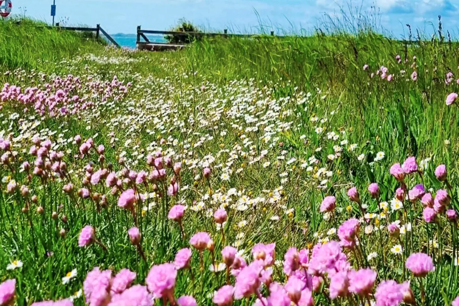 10 persoons vakantie huis in Slagelse