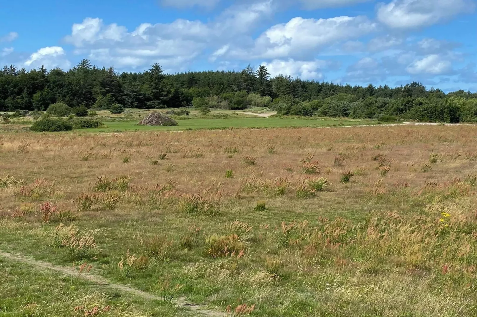 Luxe toevluchtsoord in Gronhoj-By Traum