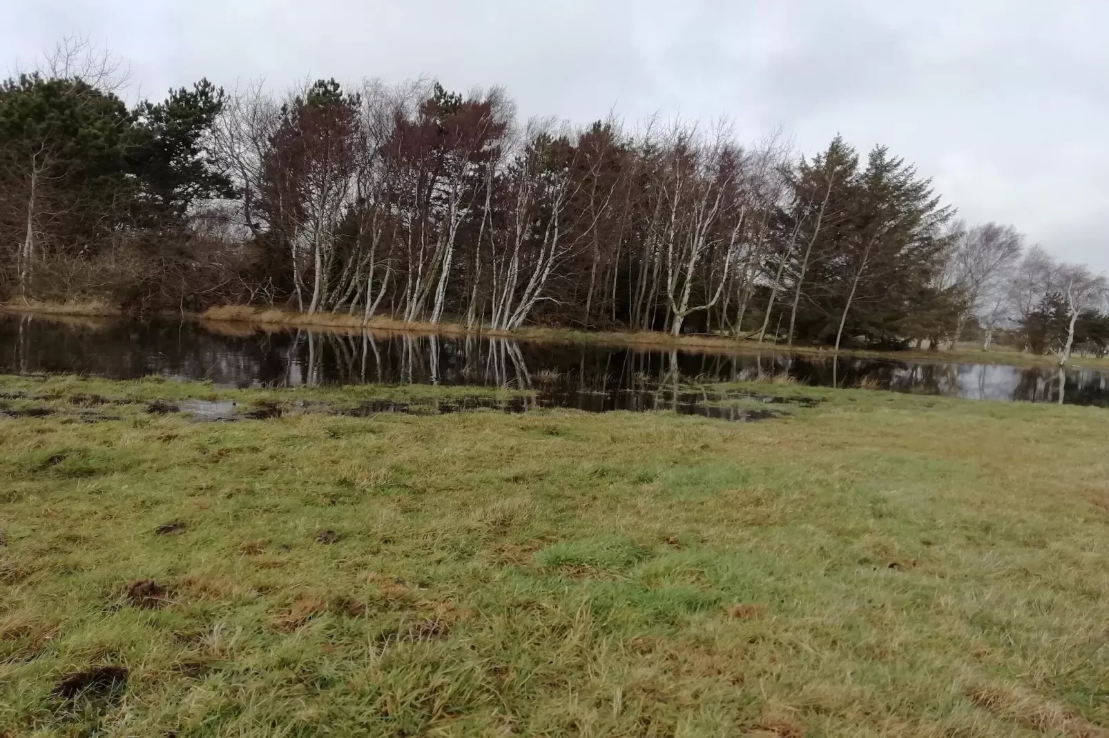 6 persoons vakantie huis in Rødby-Niet-getagd