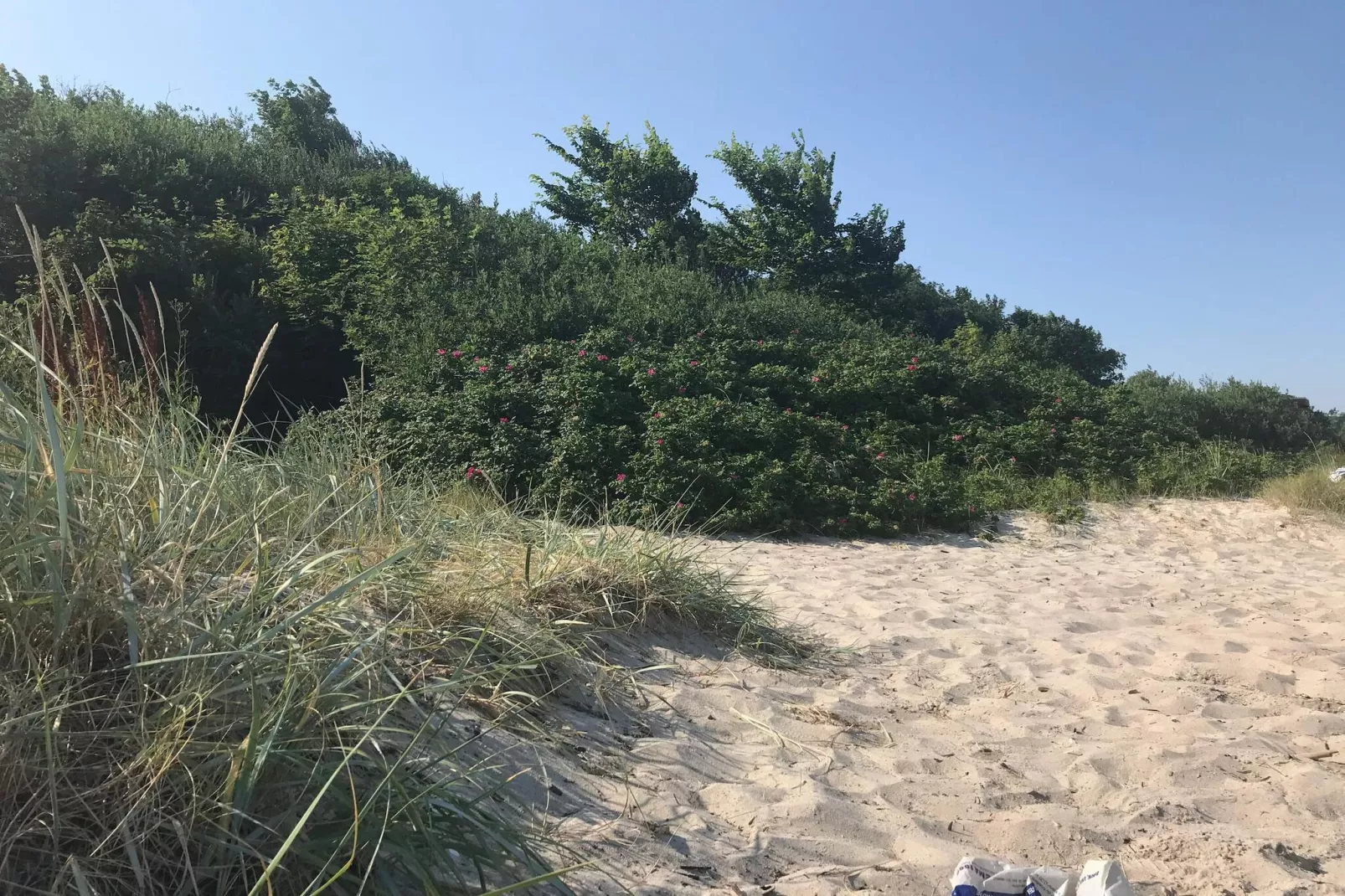 8 persoons vakantie huis in Odder