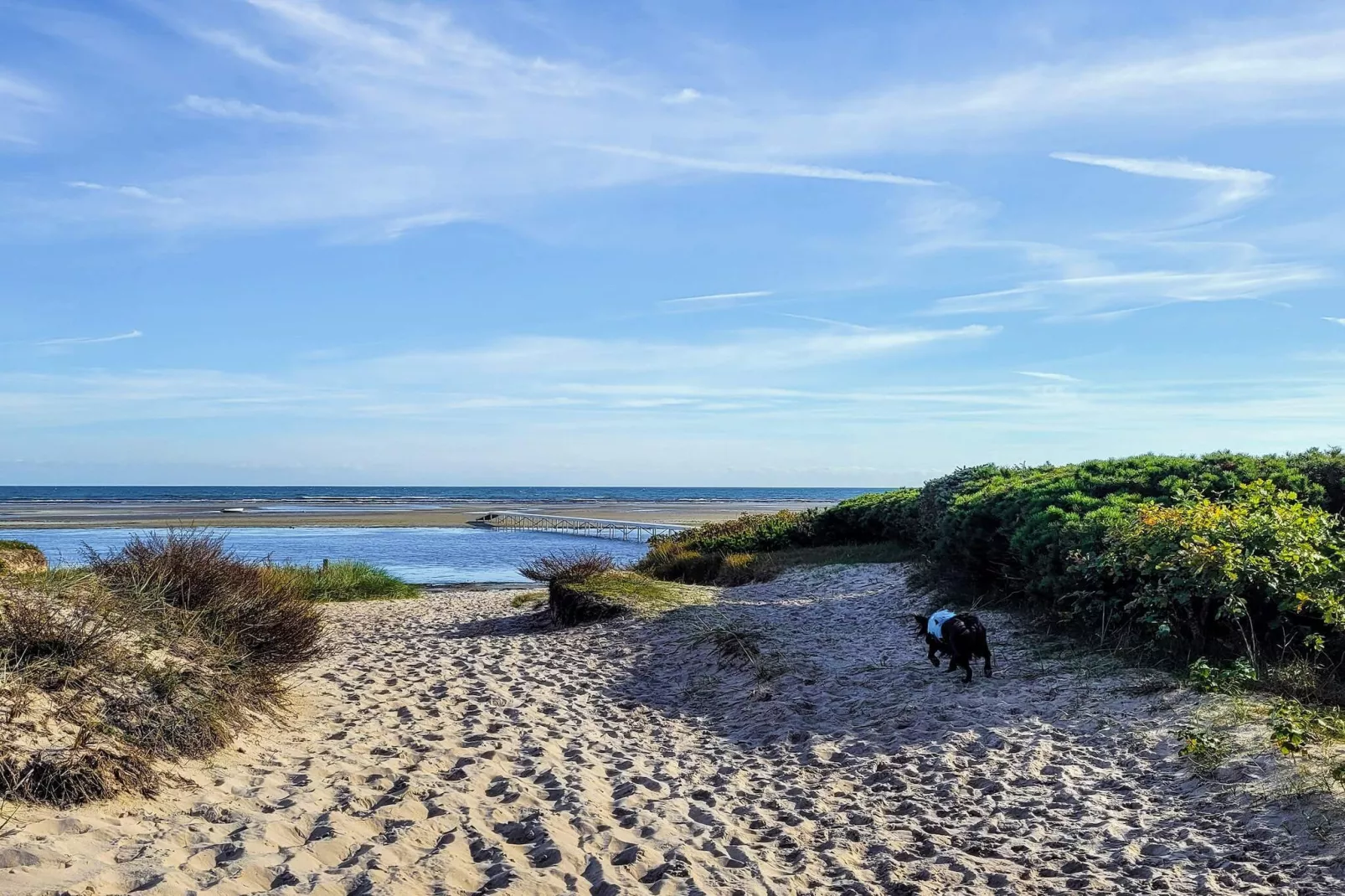 16 persoons vakantie huis in Væggerløse