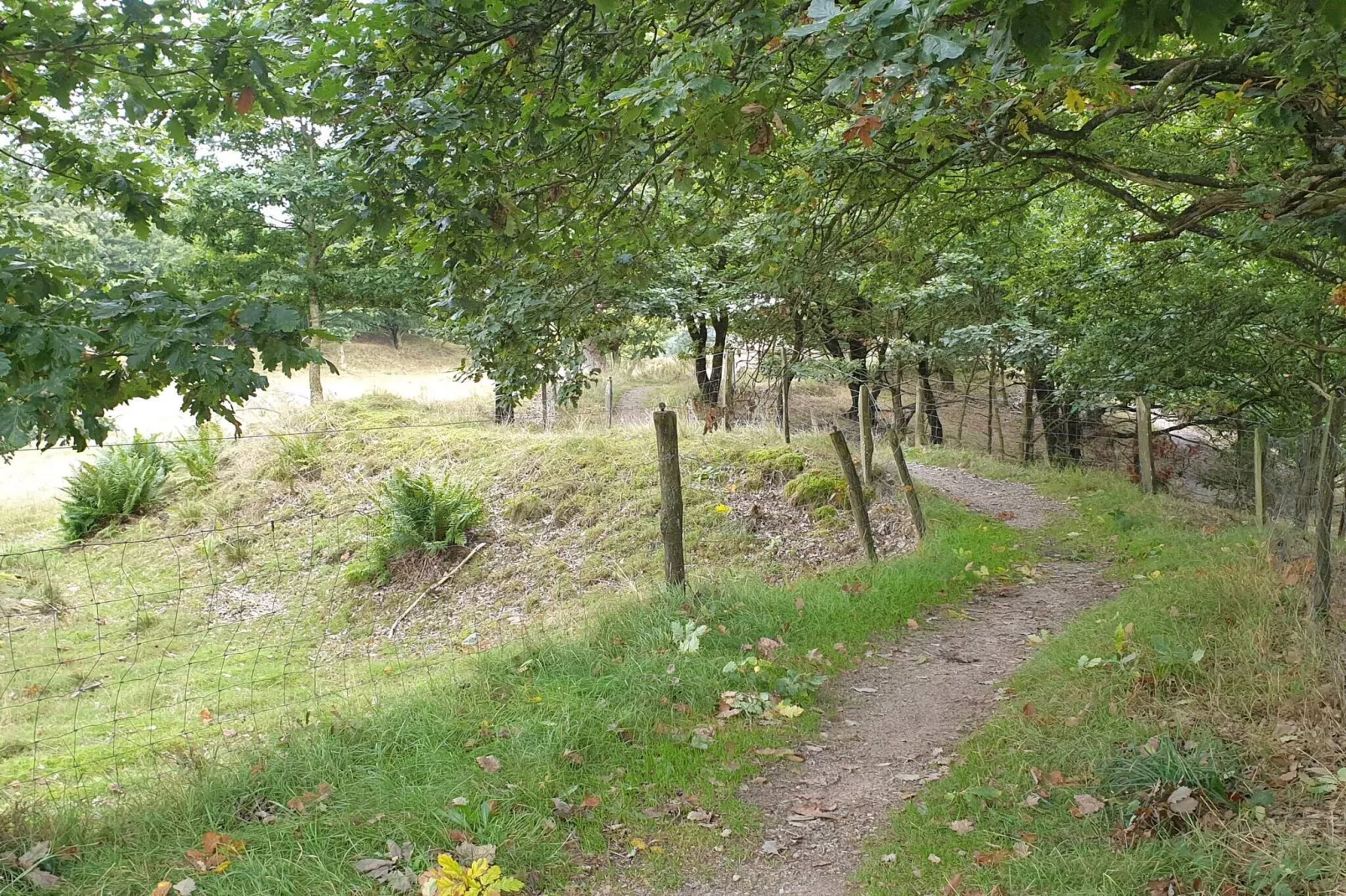 Lichte Cottage-oase in Silkeborg-By Traum-Niet-getagd