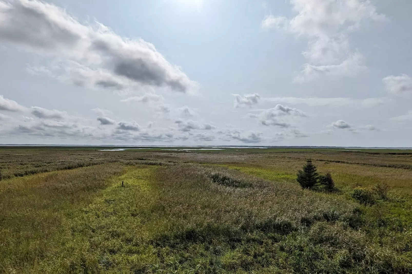 8 persoons vakantie huis in Ulfborg