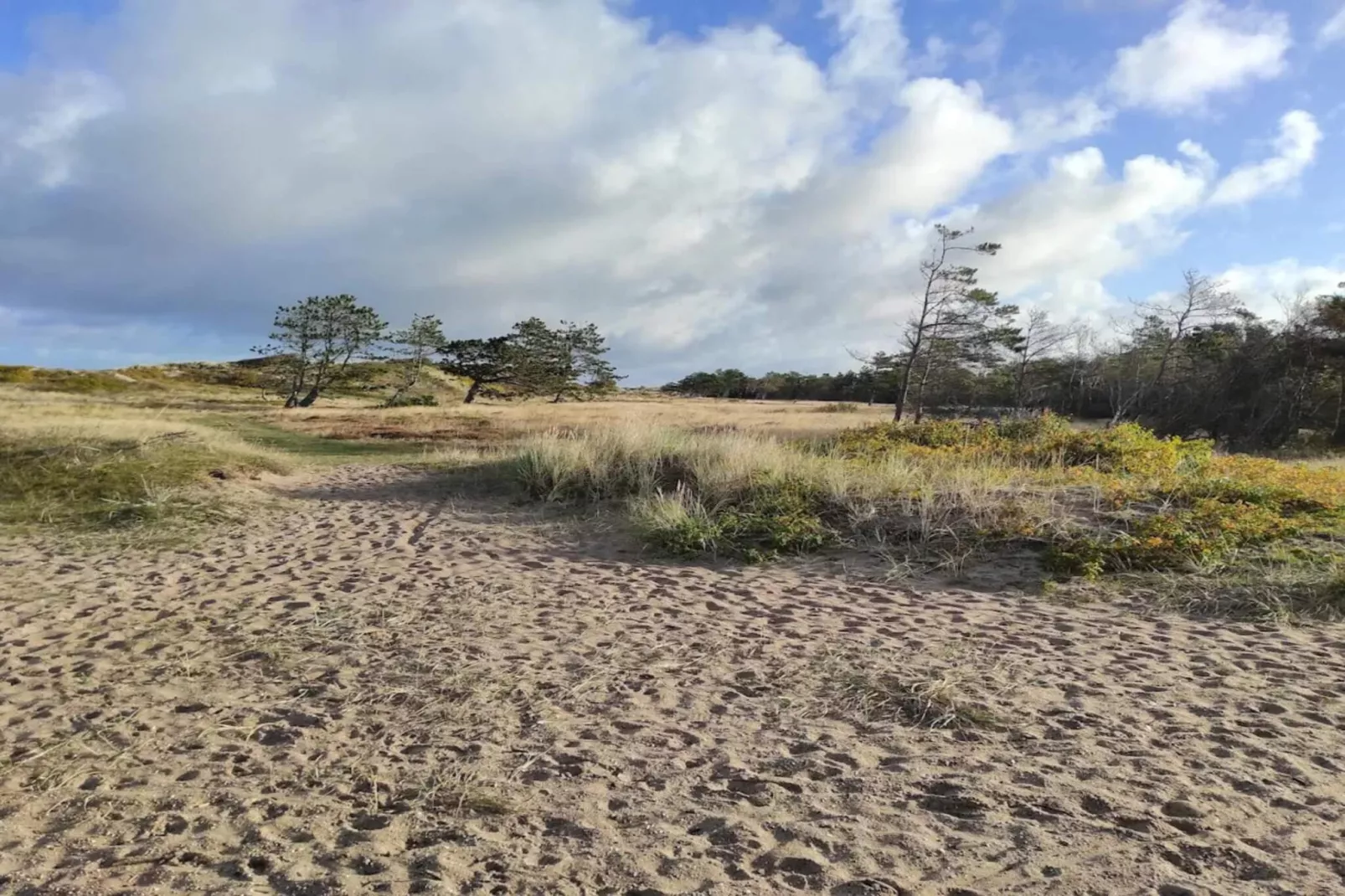 8 persoons vakantie huis in Vejby-Niet-getagd