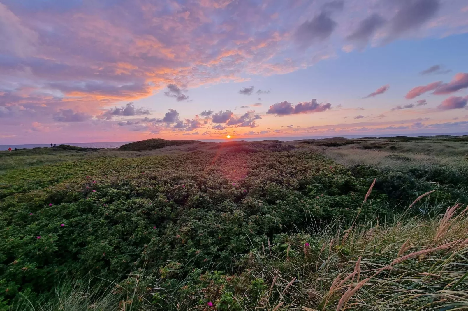 Lichte kusttoevlucht in Vorupor-By Traum-Niet-getagd