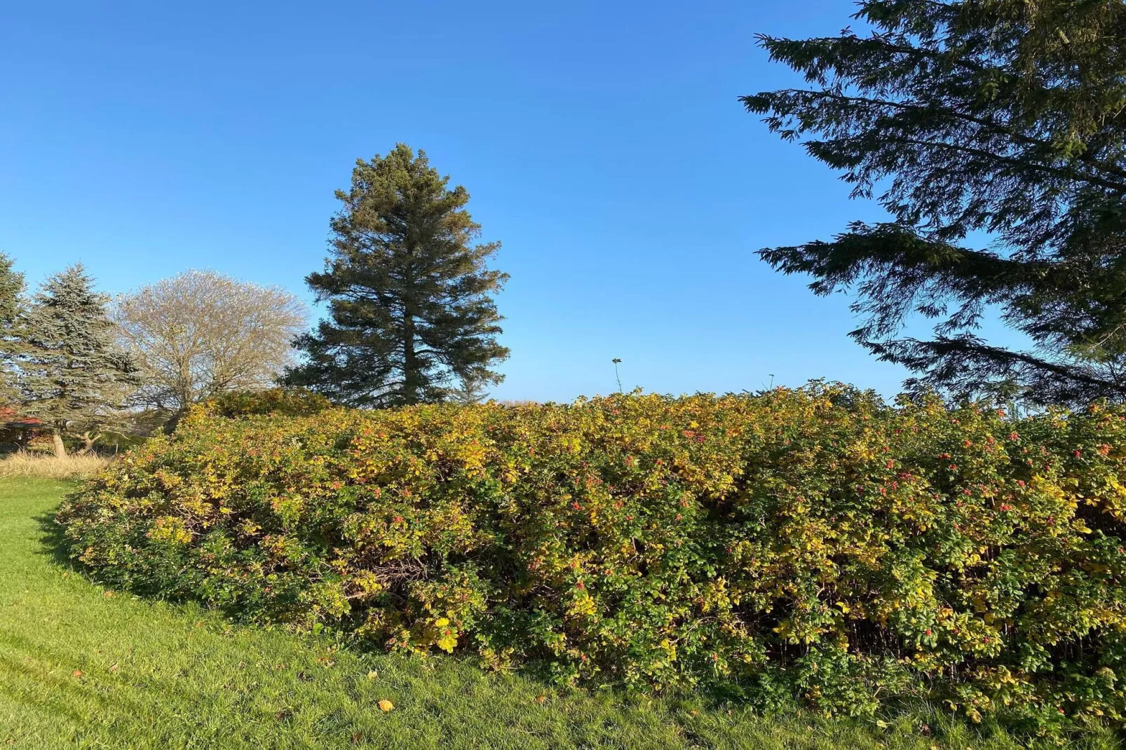 6 persoons vakantie huis in Hadsund-Niet-getagd