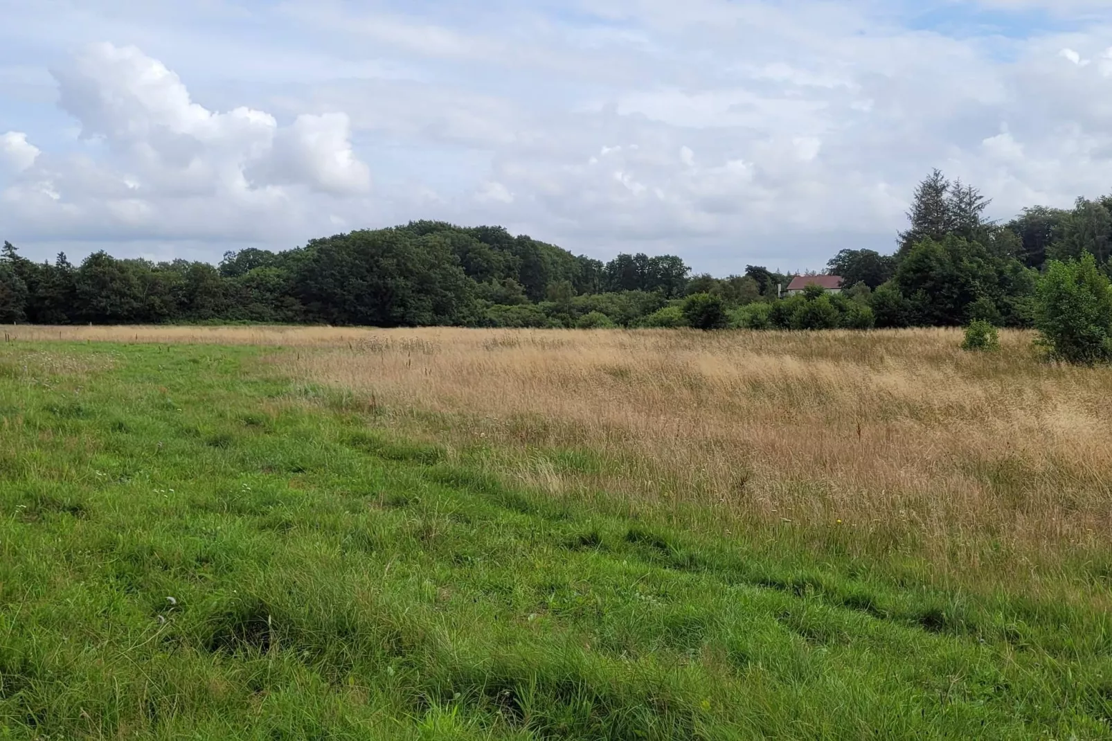 5 persoons vakantie huis in Hovborg