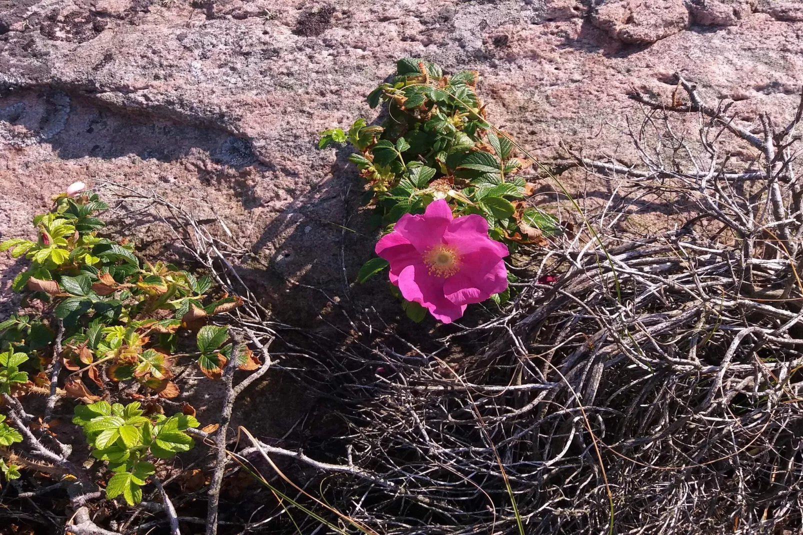 4 persoons vakantie huis in Heberg-Niet-getagd