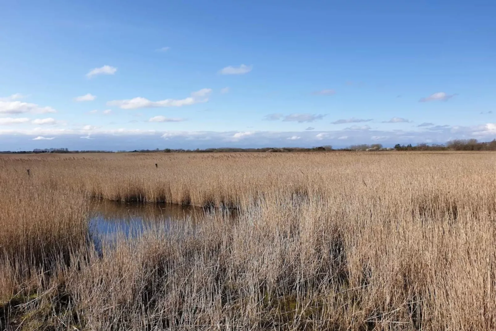 8 persoons vakantie huis in Otterup