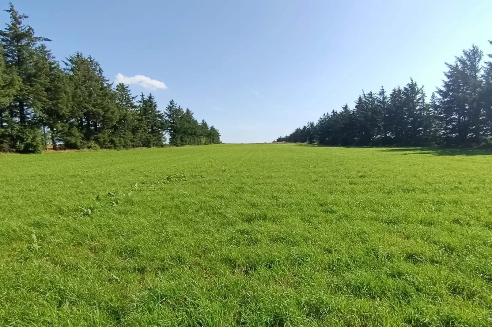 SKÆRBÆKCENTRET-Niet-getagd