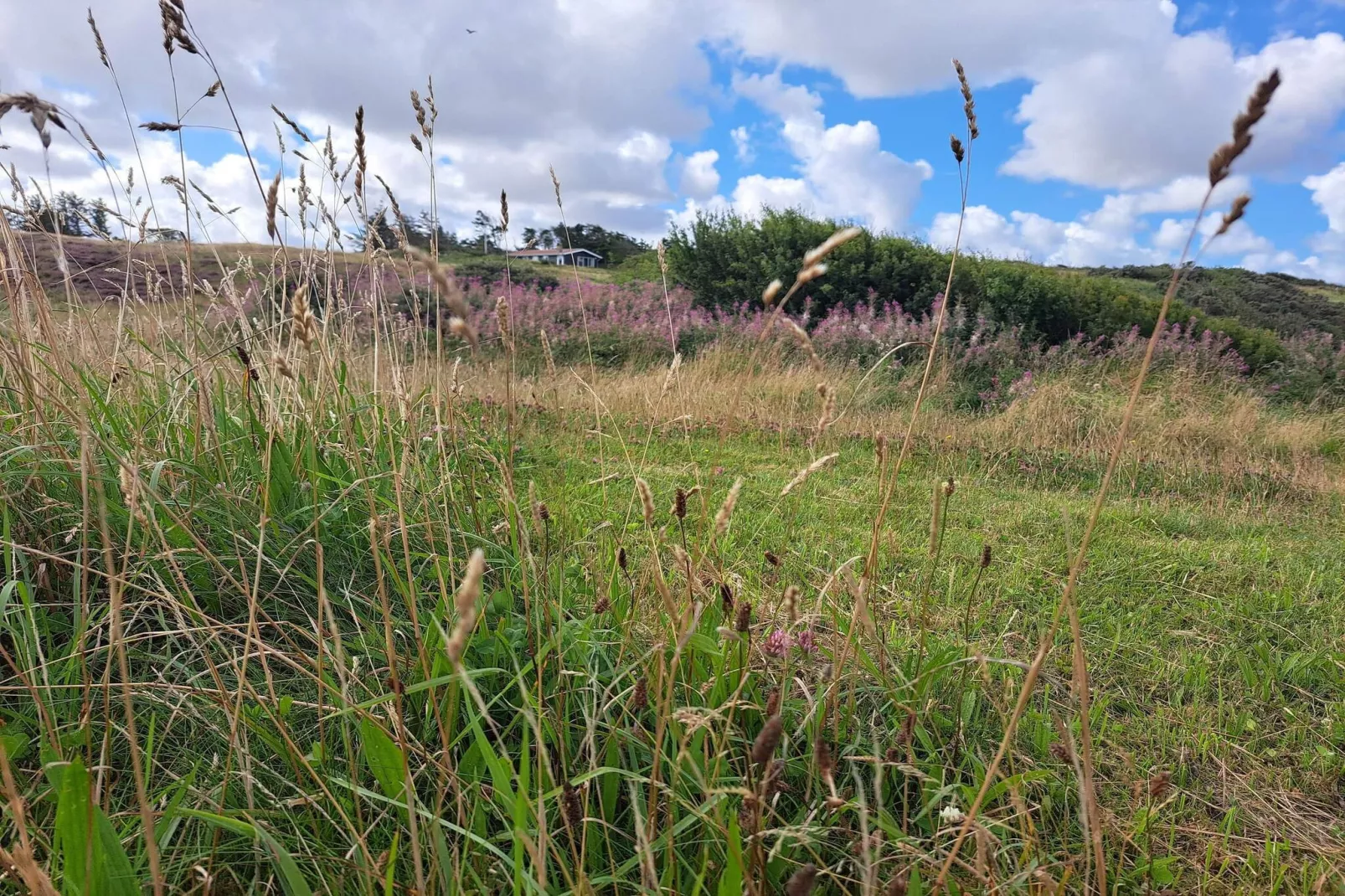 6 persoons vakantie huis in Lemvig-By Traum