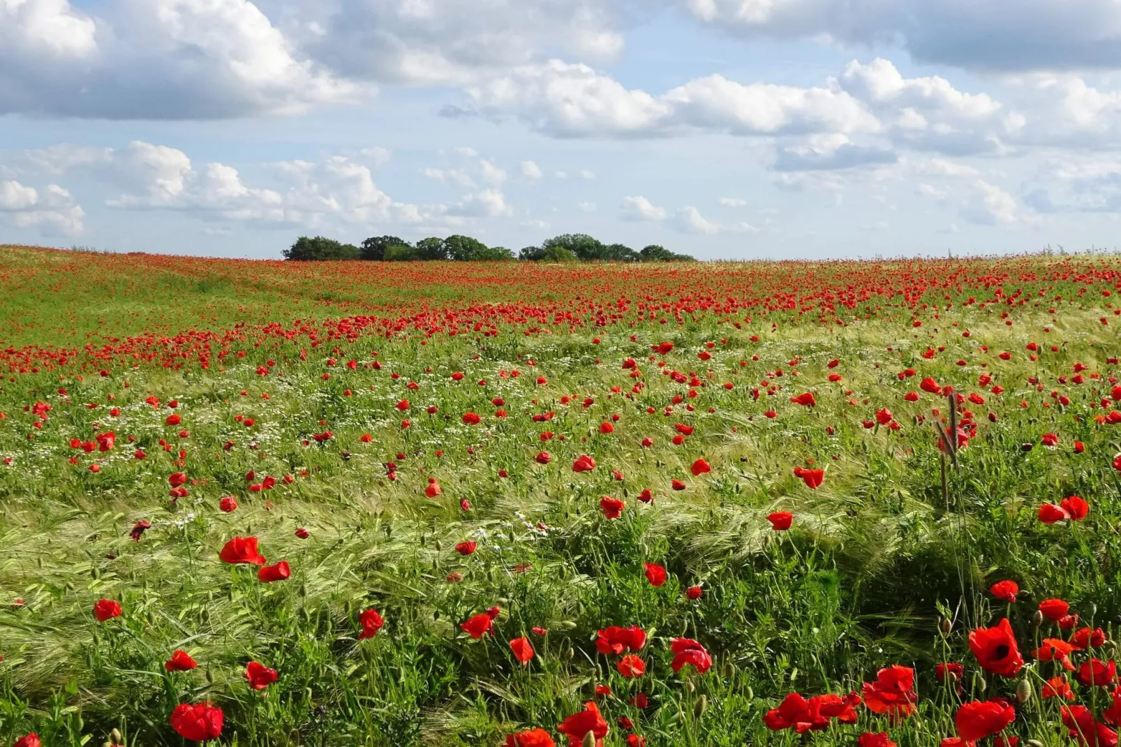 Strandgeluk in Kelstrup -- By Traum Ferienwohnungen
