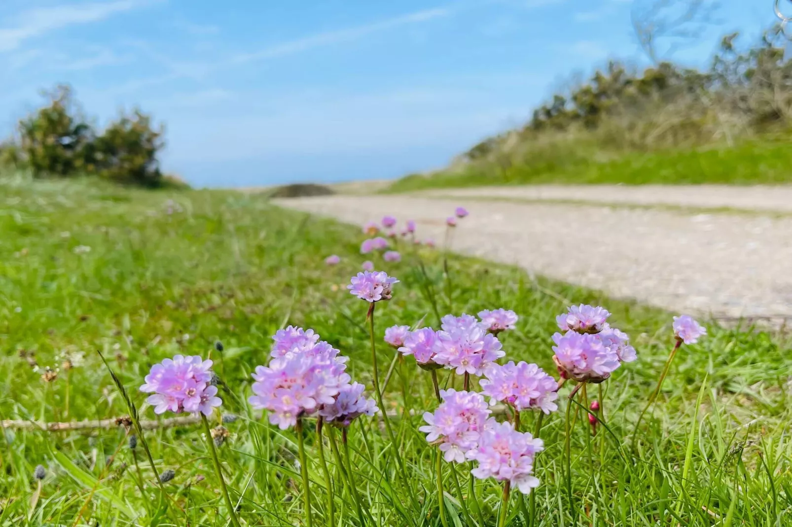 8 persoons vakantie huis in Fjerritslev-By Traum