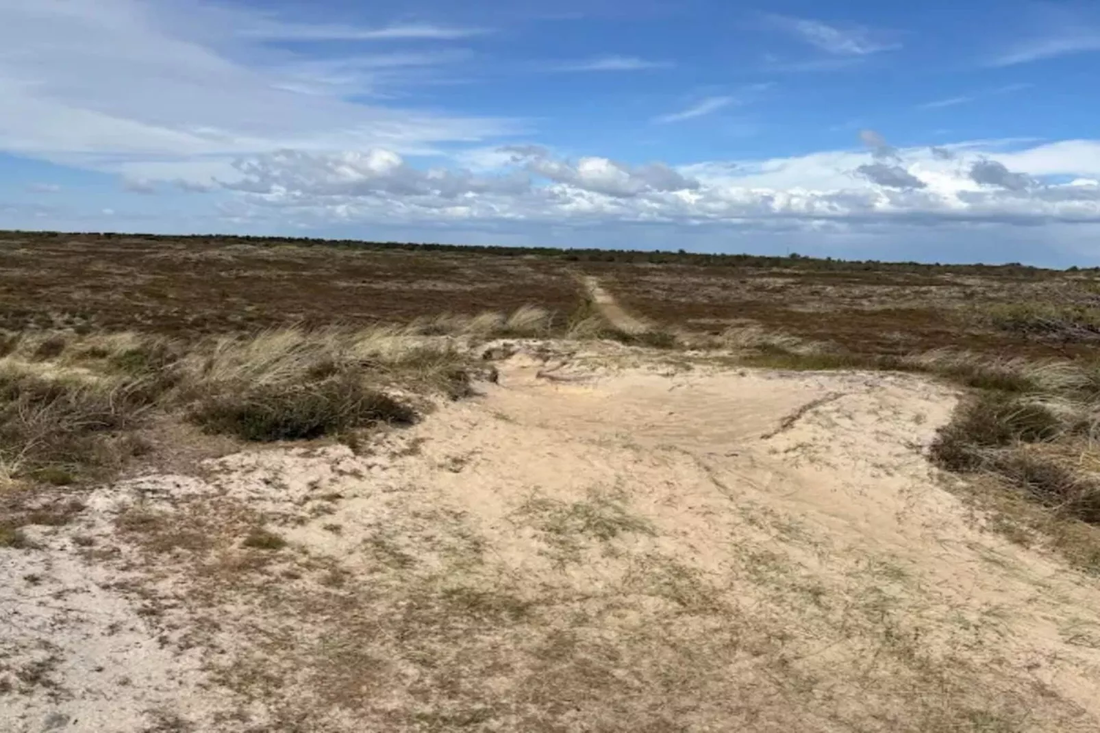 5 persoons vakantie huis in Rømø-By Traum-Niet-getagd