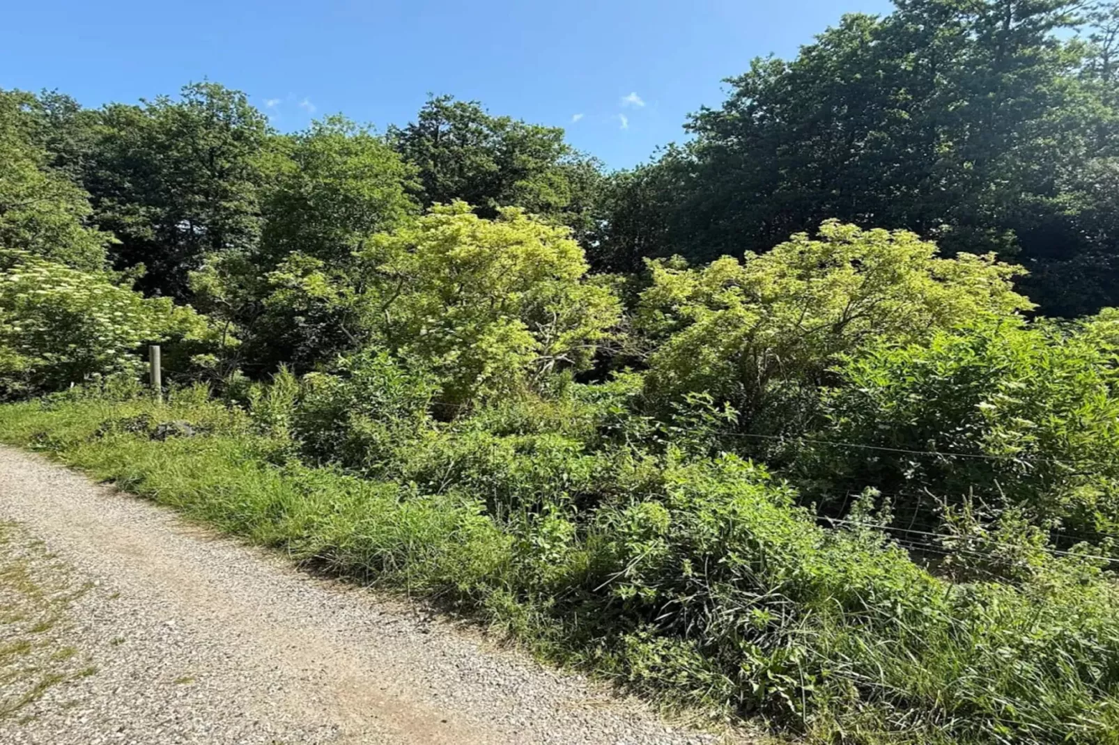 7 persoons vakantie huis in Kirke Hyllinge