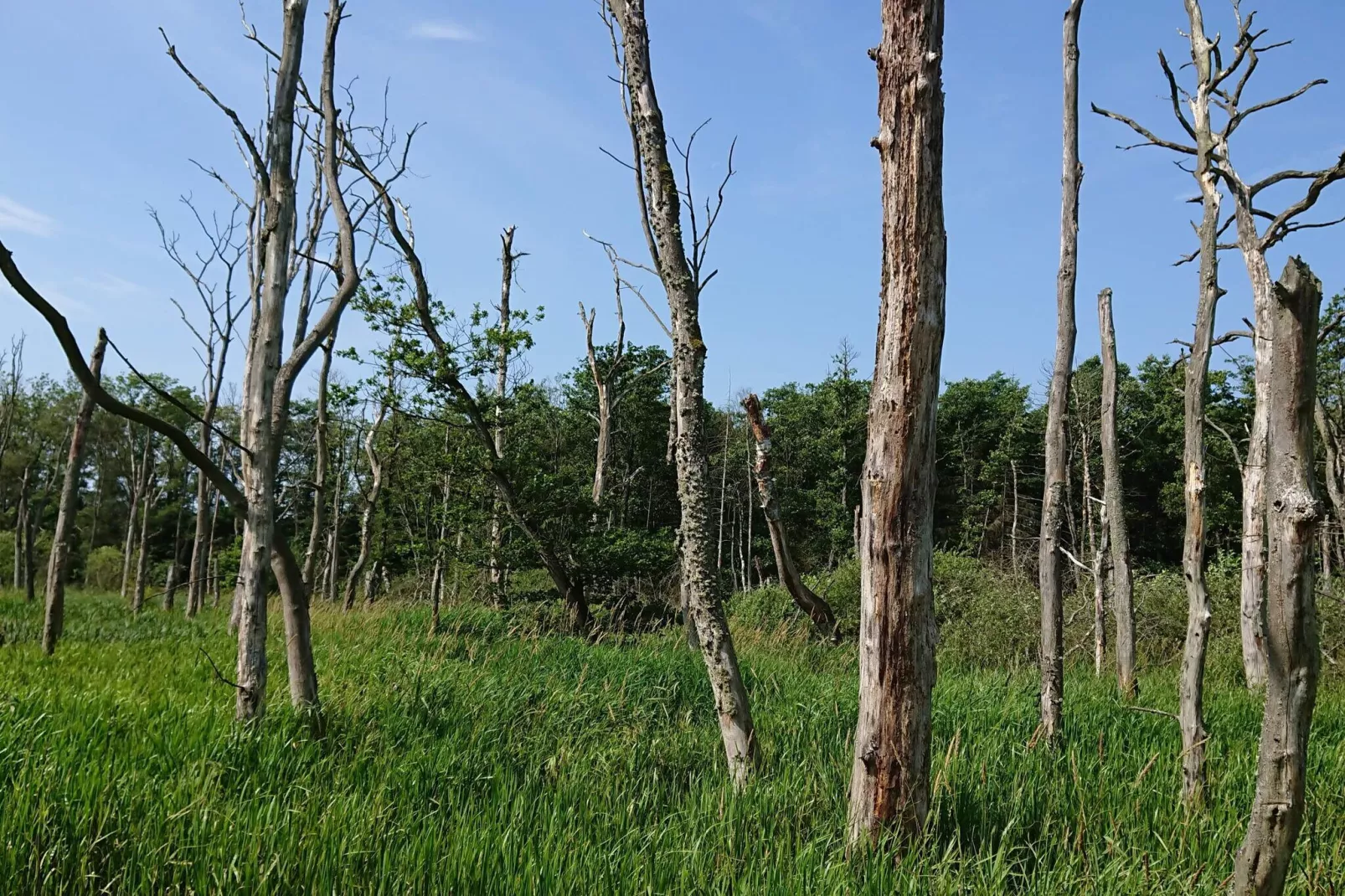 10 persoons vakantie huis in Fårvang-By Traum-Niet-getagd