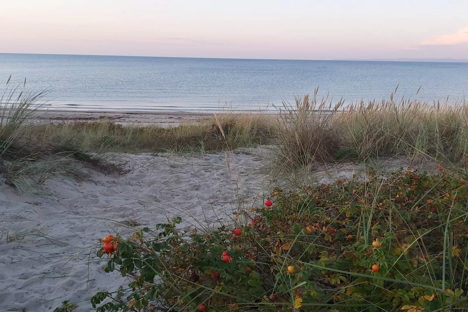 6 persoons vakantie huis in Dronningmølle-By Traum-Niet-getagd