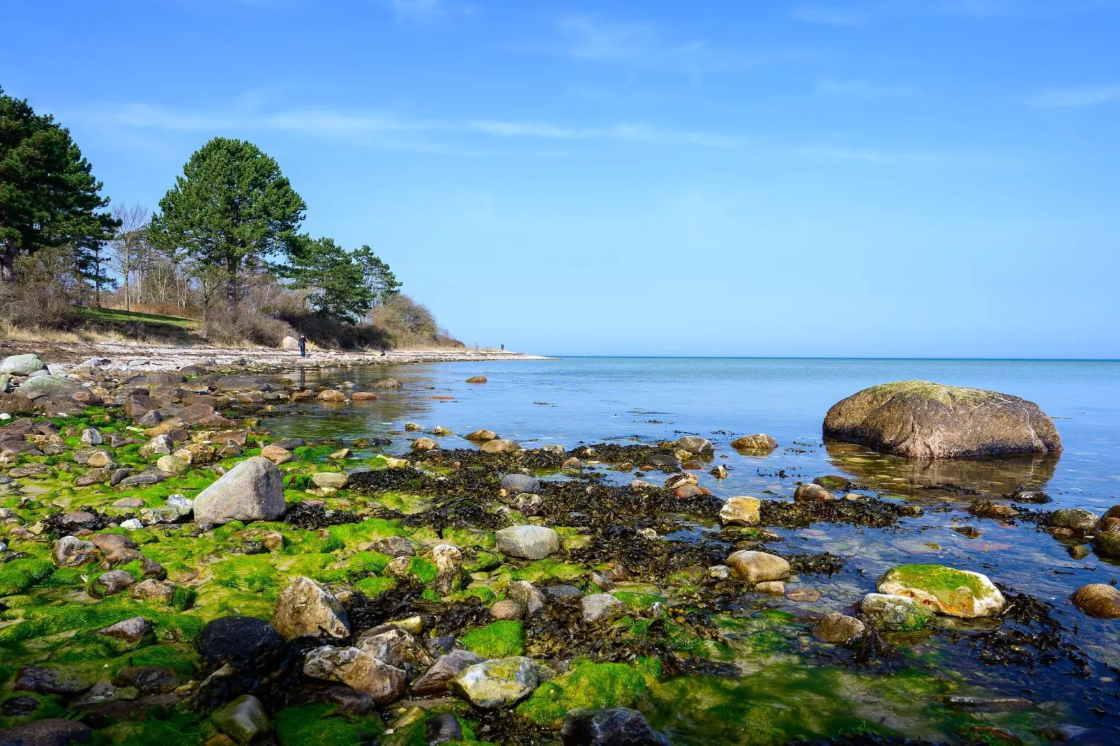 6 persoons vakantie huis in Fårevejle-By Traum