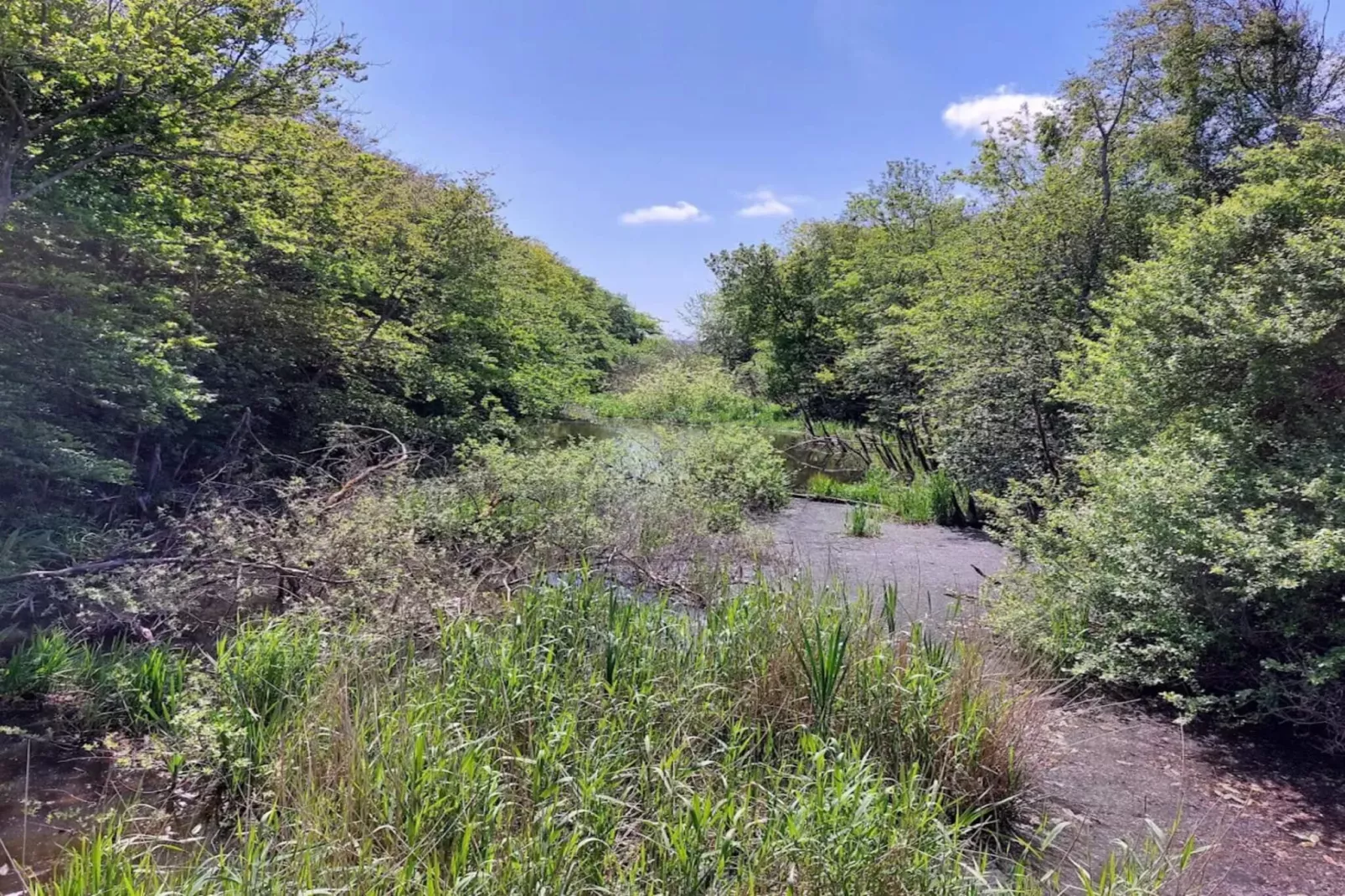 Afgelegen toevlucht bij Lyngbo Heath -- By Traum Ferienwohnungen