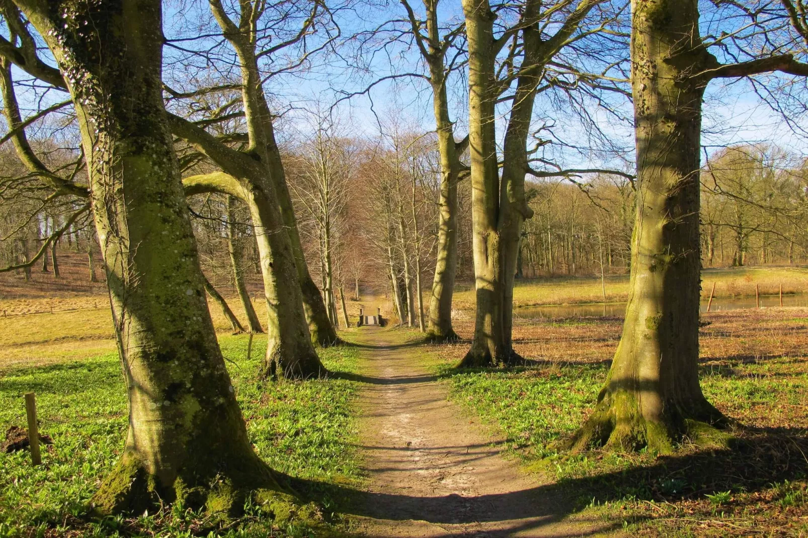 6 persoons vakantie huis in Højslev-By Traum-Niet-getagd