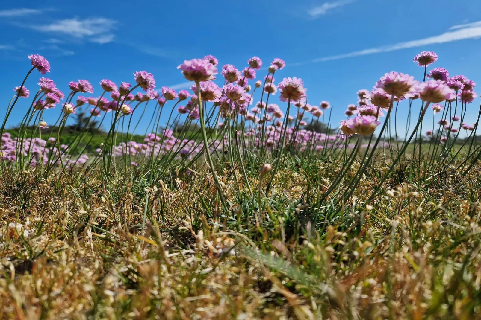 Luxe Eco Cottage in Klitmoller -- By Traum Ferienwohnungen-Niet-getagd