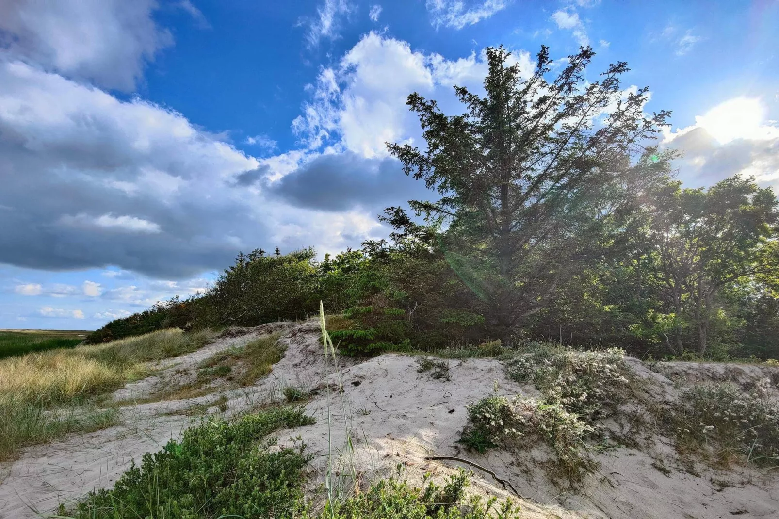 8 persoons vakantie huis in Hals-By Traum