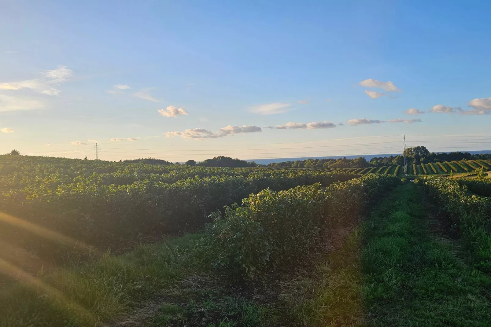 8 persoons vakantie huis in Nykøbing Sj