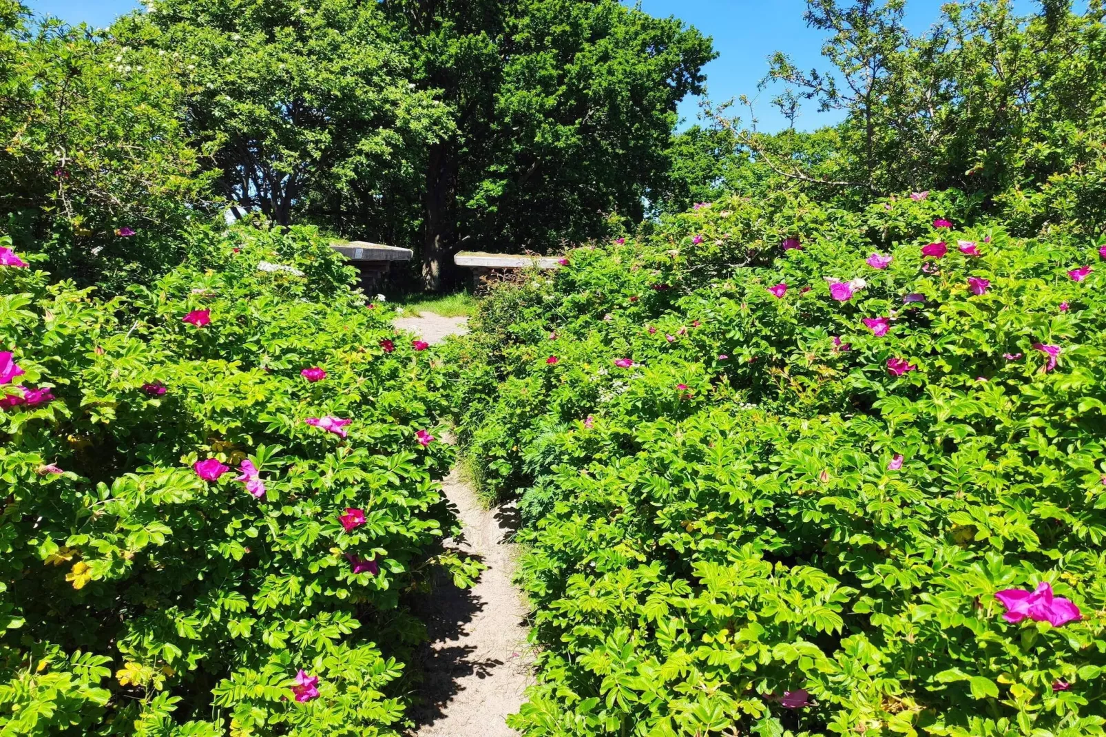 6 persoons vakantie huis in Sjølund-By Traum