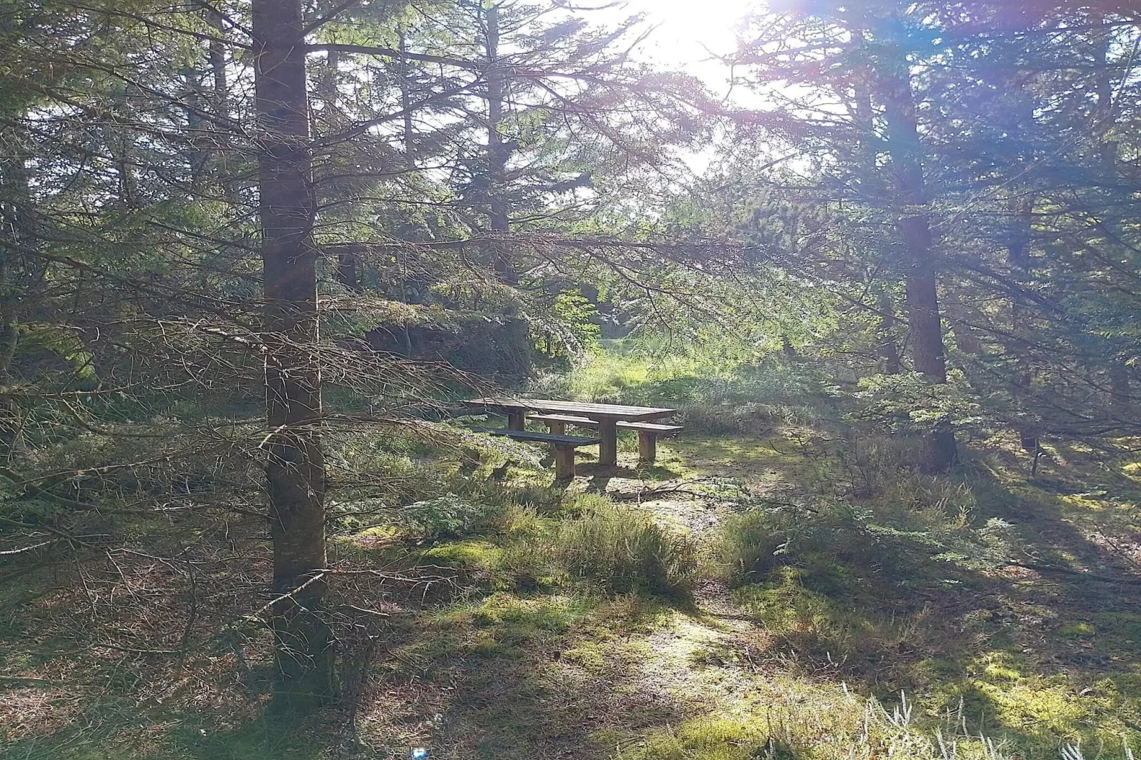 7 persoons vakantie huis in Frøstrup