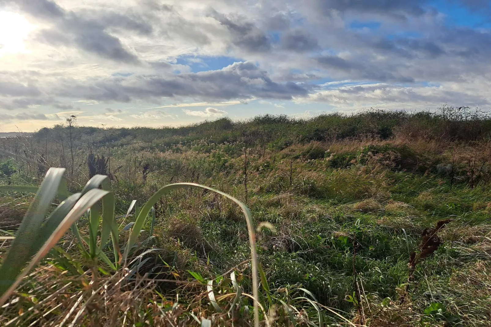 6 persoons vakantie huis in Kalundborg-By Traum