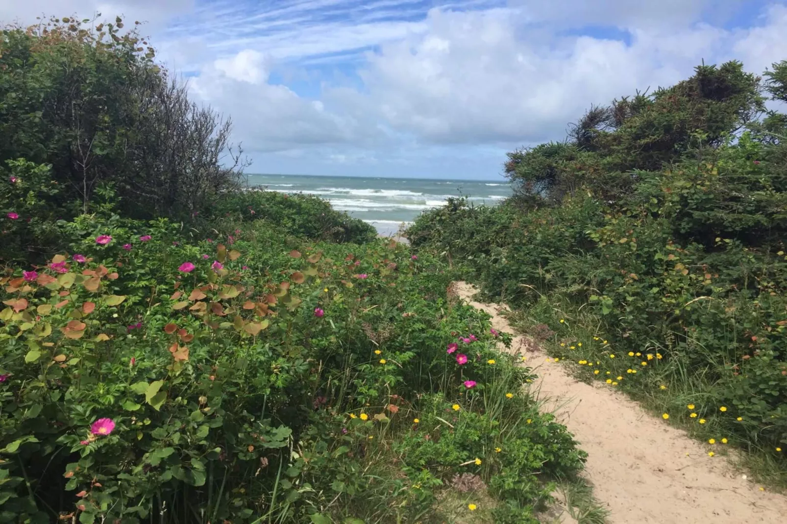 Afgelegen oase met zwembad -- By Traum Ferienwohnungen