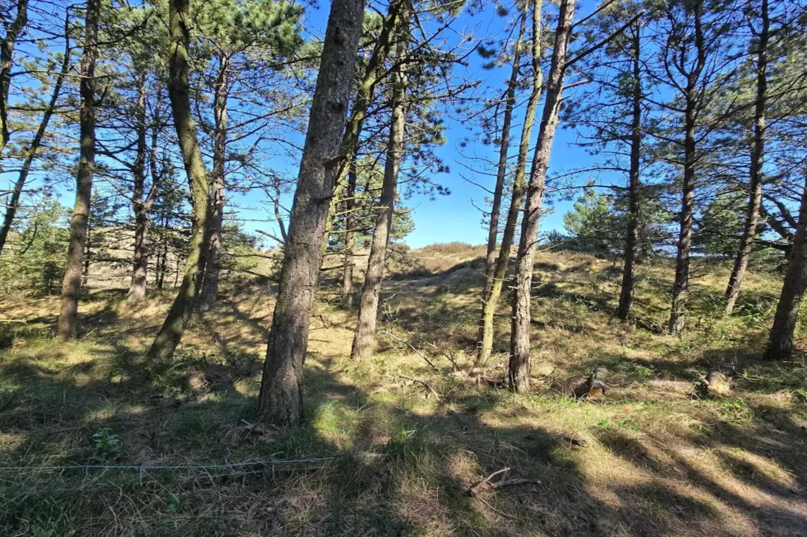 Vakantiehuis aan zee met uitzicht op de oceaan-Niet-getagd